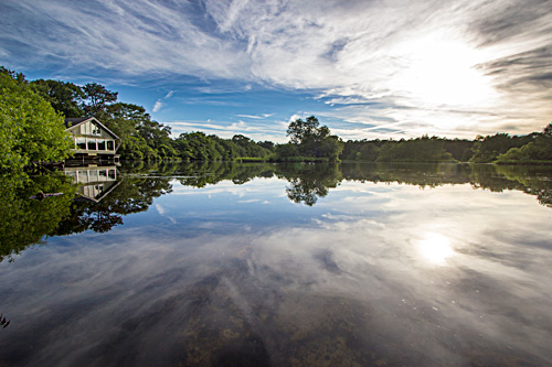 Adamas Pisco Quogue Wildlife